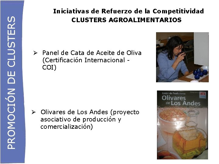 PROMOCIÓN DE CLUSTERS Iniciativas de Refuerzo de la Competitividad CLUSTERS AGROALIMENTARIOS Panel de Cata