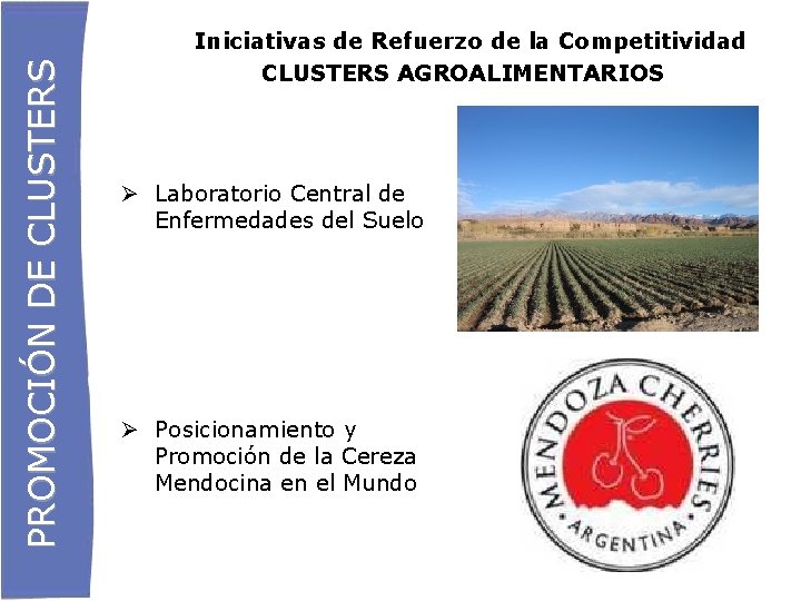 PROMOCIÓN DE CLUSTERS Iniciativas de Refuerzo de la Competitividad CLUSTERS AGROALIMENTARIOS Laboratorio Central de
