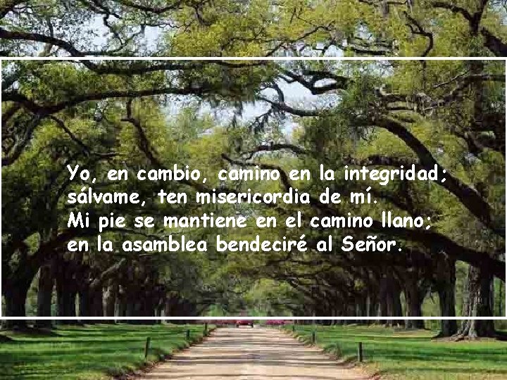 Yo, en cambio, camino en la integridad; sálvame, ten misericordia de mí. Mi pie
