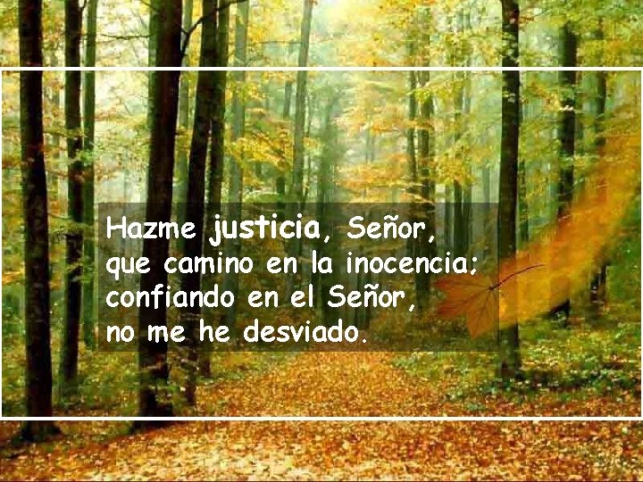 Hazme justicia, Señor, que camino en la inocencia; confiando en el Señor, no me