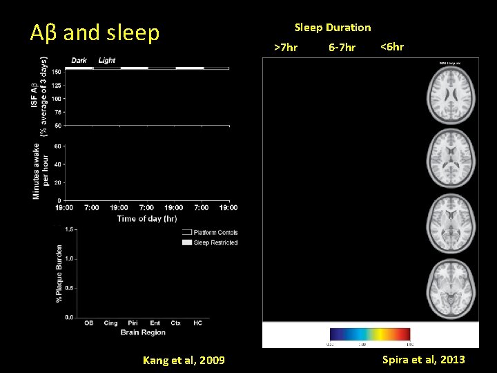 Aβ and sleep Kang et al, 2009 Sleep Duration >7 hr 6 -7 hr