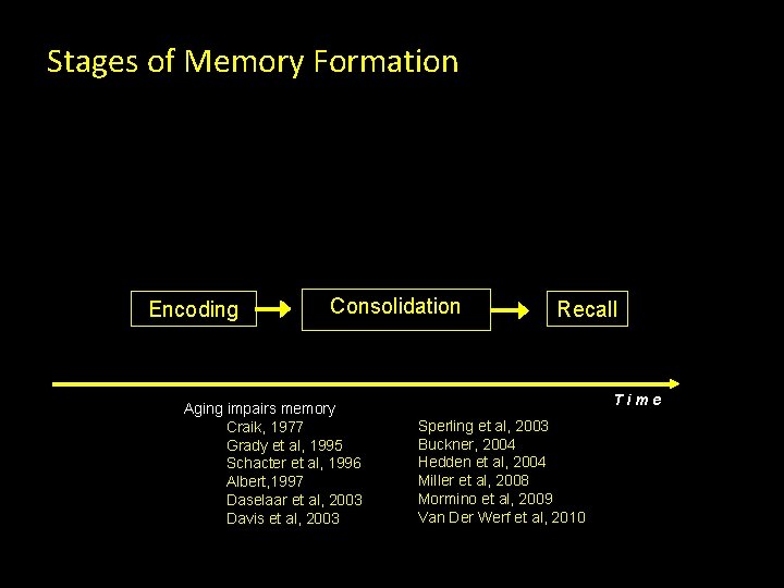 Stages of Memory Formation Encoding Consolidation Aging impairs memory Craik, 1977 Grady et al,