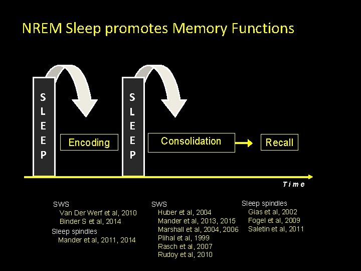 NREM Sleep promotes Memory Functions S L E E P Encoding S L E