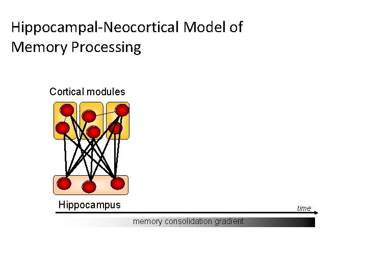 Hippocampal-Neocortical Model of Memory Processing Cortical modules Hippocampus time memory consolidation gradient 