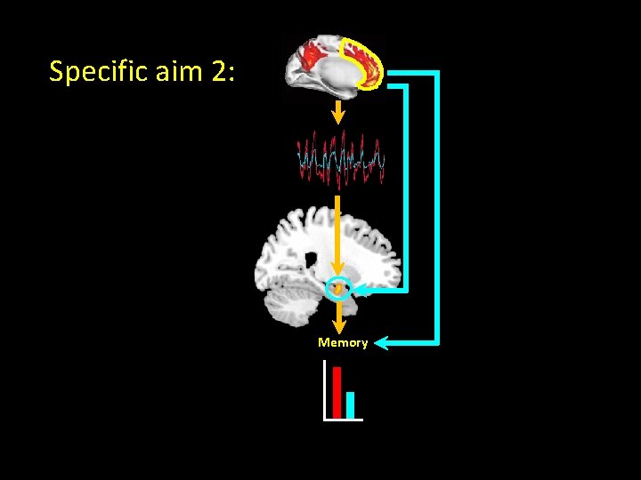 Specific aim 2: Memory 