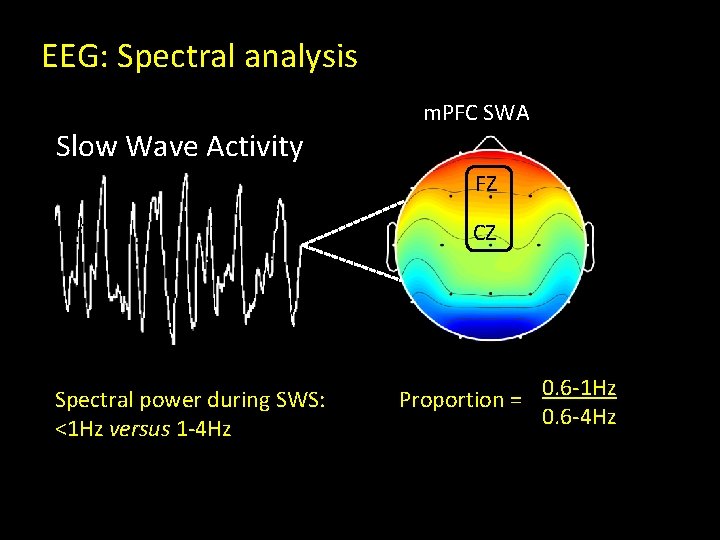 EEG: Spectral analysis Slow Wave Activity m. PFC SWA FZ CZ Spectral power during