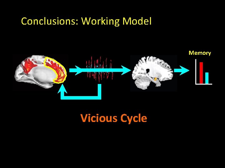 Conclusions: Working Model Memory Vicious Cycle 