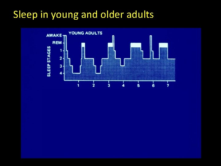 Sleep in young and older adults 