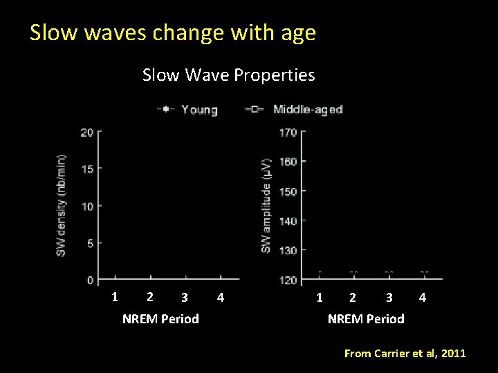 Slow waves change with age Slow Wave Properties 1 2 3 NREM Period 4