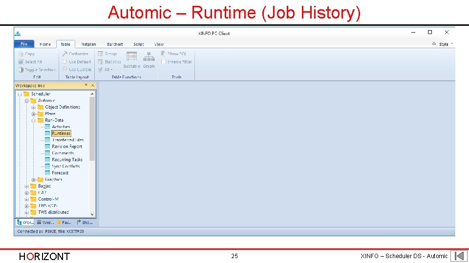 Automic – Runtime (Job History) HORIZONT 25 XINFO – Scheduler DS - Automic 