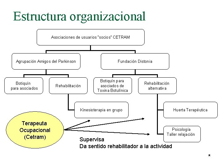 Estructura organizacional Asociaciones de usuarios “socios” CETRAM Agrupación Amigos del Parkinson Botiquín para asociados