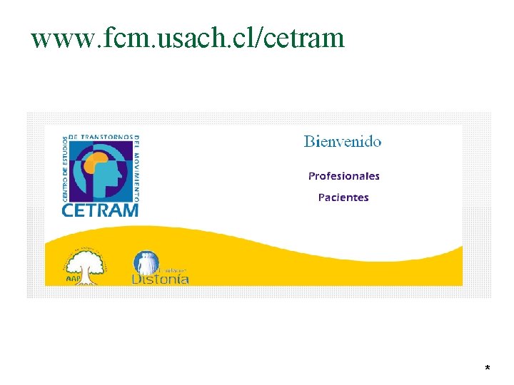 www. fcm. usach. cl/cetram * 