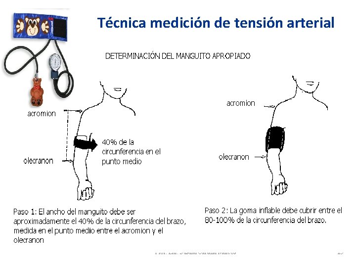Técnica medición de tensión arterial Prof. Enf. Susana Claudia Marcos 25 Técnica medición de tensión arterial Prof. Enf. Susana Claudia Marcos 25