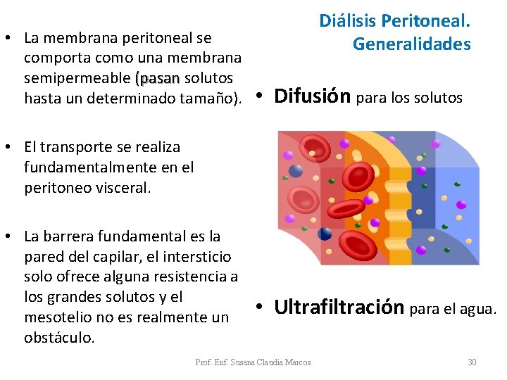 • La membrana peritoneal se comporta como una membrana semipermeable (pasan solutos (pasan • La membrana peritoneal se comporta como una membrana semipermeable (pasan solutos (pasan