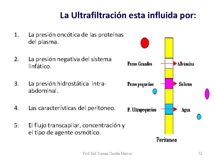 La Ultrafiltración esta influida por: 1. La presión oncótica de las proteínas del plasma. La Ultrafiltración esta influida por: 1. La presión oncótica de las proteínas del plasma.