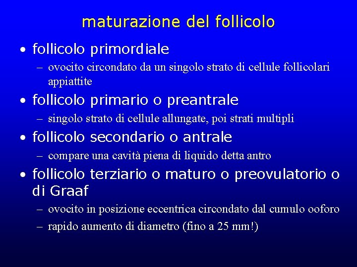maturazione del follicolo • follicolo primordiale – ovocito circondato da un singolo strato di maturazione del follicolo • follicolo primordiale – ovocito circondato da un singolo strato di