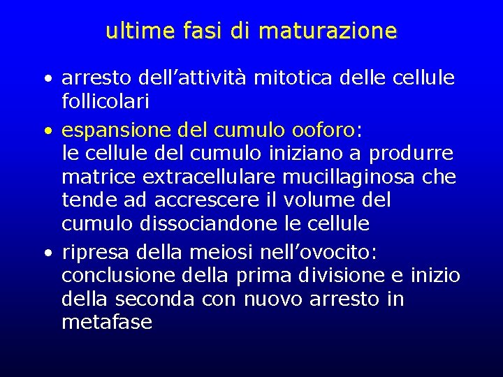 ultime fasi di maturazione • arresto dell’attività mitotica delle cellule follicolari • espansione del ultime fasi di maturazione • arresto dell’attività mitotica delle cellule follicolari • espansione del