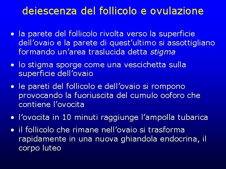 deiescenza del follicolo e ovulazione • la parete del follicolo rivolta verso la superficie deiescenza del follicolo e ovulazione • la parete del follicolo rivolta verso la superficie