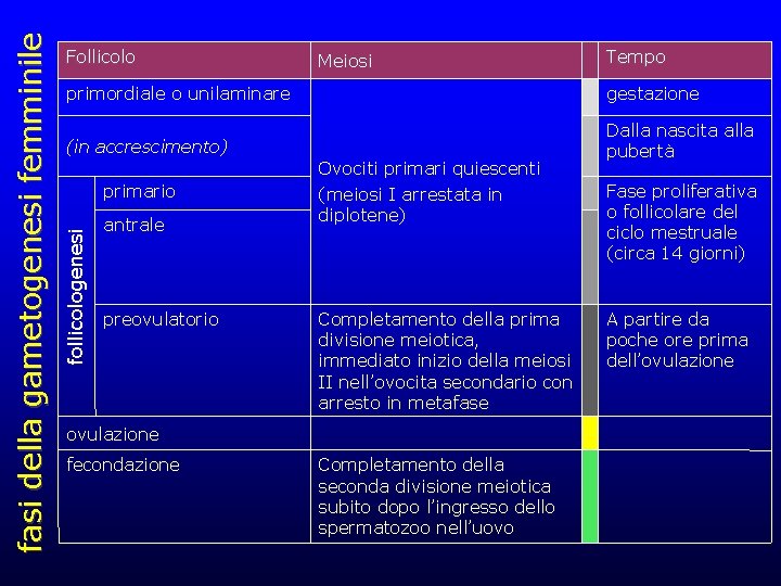 Meiosi Tempo primordiale o unilaminare gestazione (in accrescimento) Dalla nascita alla pubertà primario follicologenesi Meiosi Tempo primordiale o unilaminare gestazione (in accrescimento) Dalla nascita alla pubertà primario follicologenesi