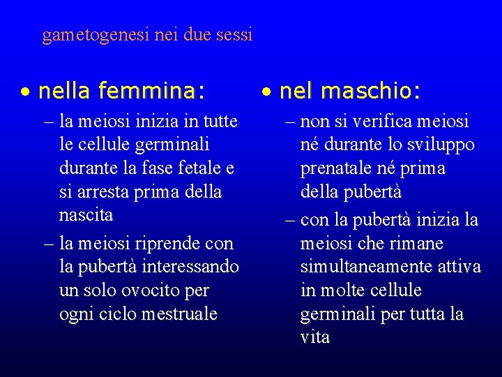 gametogenesi nei due sessi • nella femmina: – la meiosi inizia in tutte le gametogenesi nei due sessi • nella femmina: – la meiosi inizia in tutte le