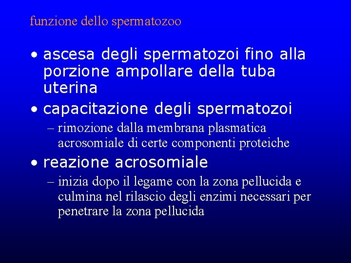funzione dello spermatozoo • ascesa degli spermatozoi fino alla porzione ampollare della tuba uterina funzione dello spermatozoo • ascesa degli spermatozoi fino alla porzione ampollare della tuba uterina