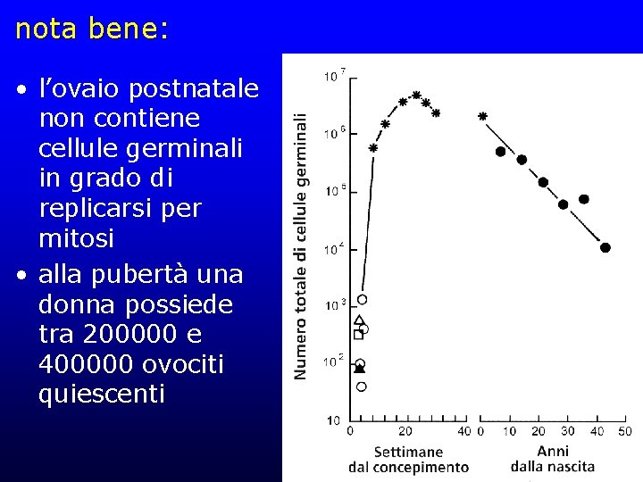nota bene: • l’ovaio postnatale non contiene cellule germinali in grado di replicarsi per nota bene: • l’ovaio postnatale non contiene cellule germinali in grado di replicarsi per