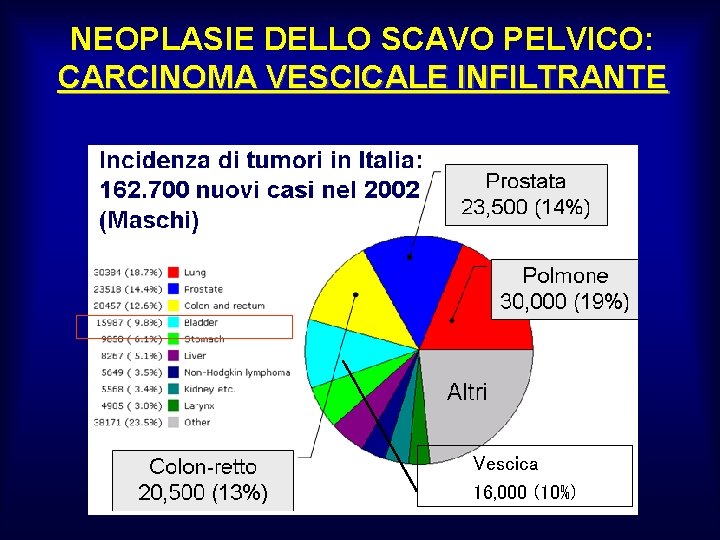 NEOPLASIE DELLO SCAVO PELVICO: CARCINOMA VESCICALE INFILTRANTE Vescica 16, 000 (10%) 