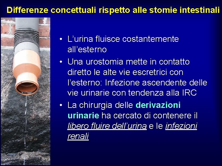 Differenze concettuali rispetto alle stomie intestinali • L’urina fluisce costantemente all’esterno • Una urostomia