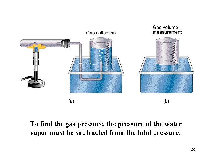 To find the gas pressure, the pressure of the water vapor must be subtracted