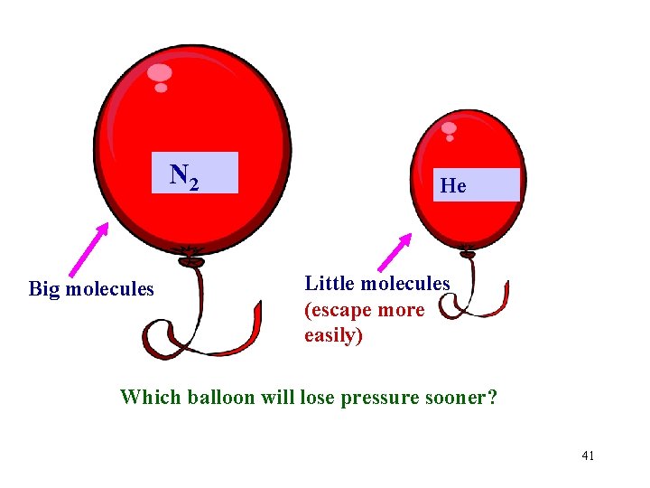 N 2 Big molecules He Little molecules (escape more easily) Which balloon will lose