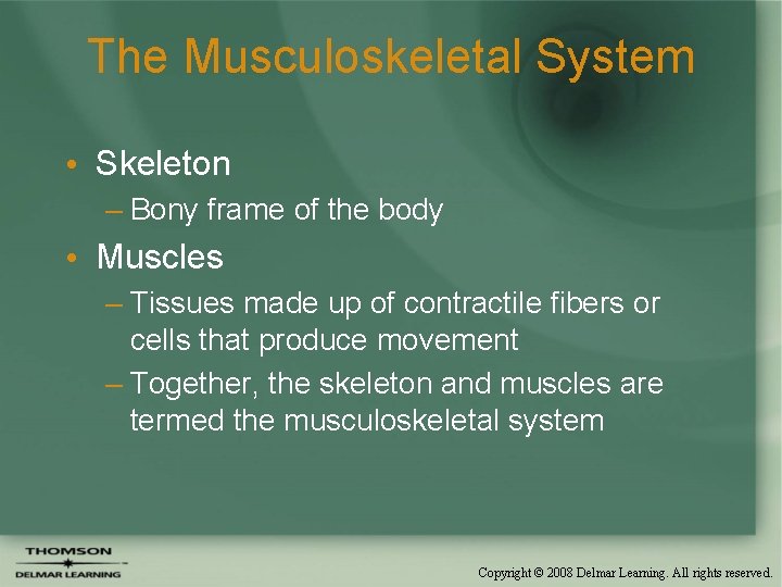 The Musculoskeletal System • Skeleton – Bony frame of the body • Muscles –