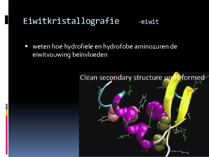 Eiwitkristallografie –eiwit weten hoe hydrofiele en hydrofobe aminozuren de eiwitvouwing beïnvloeden 