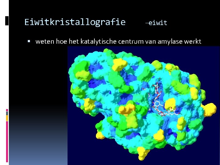 Eiwitkristallografie –eiwit weten hoe het katalytische centrum van amylase werkt 