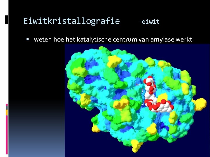 Eiwitkristallografie –eiwit weten hoe het katalytische centrum van amylase werkt 