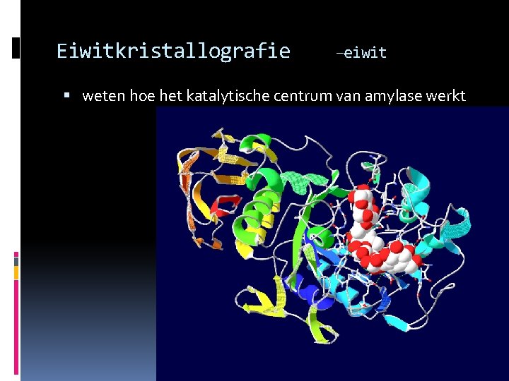 Eiwitkristallografie –eiwit weten hoe het katalytische centrum van amylase werkt 