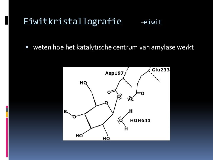 Eiwitkristallografie –eiwit weten hoe het katalytische centrum van amylase werkt 