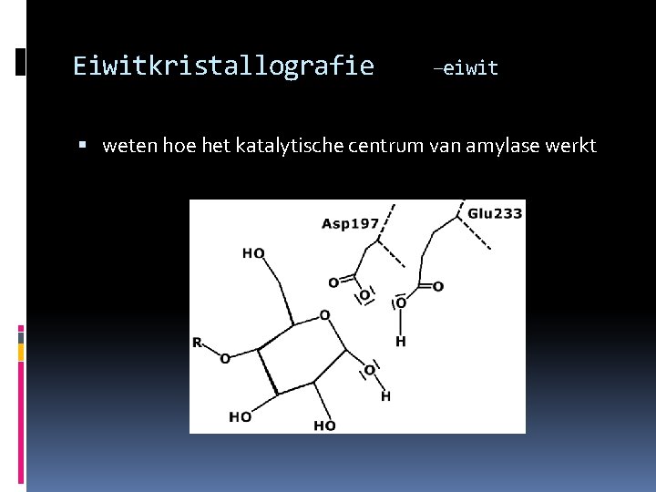 Eiwitkristallografie –eiwit weten hoe het katalytische centrum van amylase werkt 