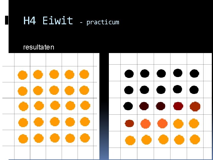 H 4 Eiwit resultaten - practicum 
