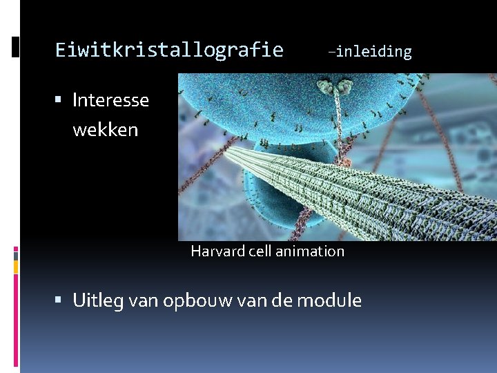 Eiwitkristallografie –inleiding Interesse wekken Harvard cell animation Uitleg van opbouw van de module 