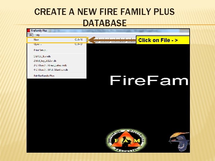 CREATE A NEW FIRE FAMILY PLUS DATABASE Click on File - > New 