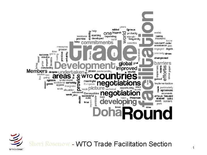 Sheri Rosenow - WTO Trade Facilitation Section 1 