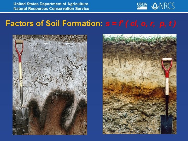 Factors of Soil Formation: s = f' ( cl, o, r, p, t )