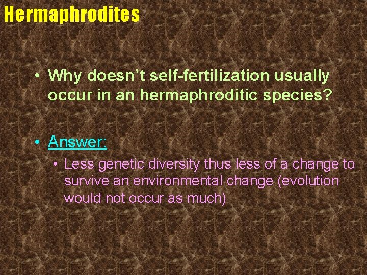 Hermaphrodites • Why doesn’t self-fertilization usually occur in an hermaphroditic species? • Answer: •