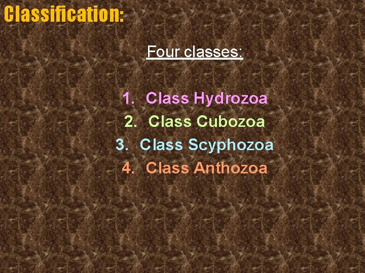 Classification: Four classes: 1. Class Hydrozoa 2. Class Cubozoa 3. Class Scyphozoa 4. Class