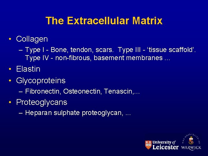 The Extracellular Matrix • Collagen – Type I - Bone, tendon, scars. Type III