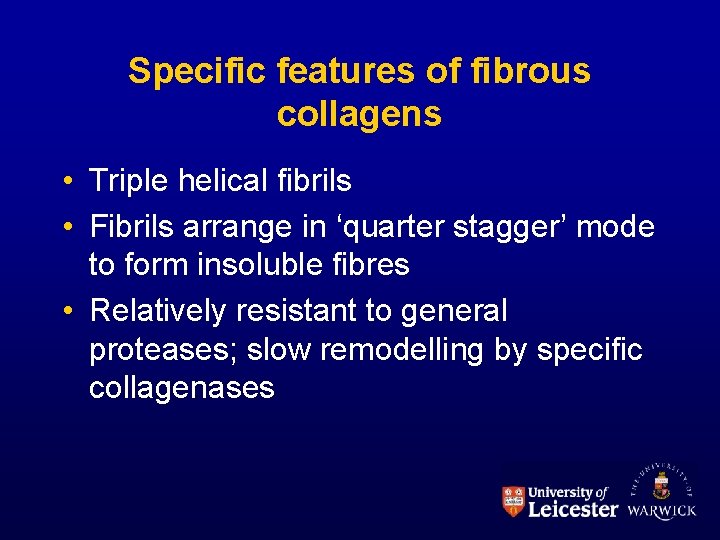 Specific features of fibrous collagens • Triple helical fibrils • Fibrils arrange in ‘quarter Specific features of fibrous collagens • Triple helical fibrils • Fibrils arrange in ‘quarter