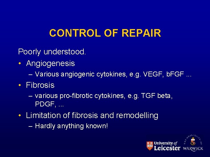 CONTROL OF REPAIR Poorly understood. • Angiogenesis – Various angiogenic cytokines, e. g. VEGF,