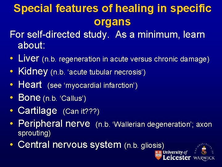 Special features of healing in specific organs For self-directed study. As a minimum, learn