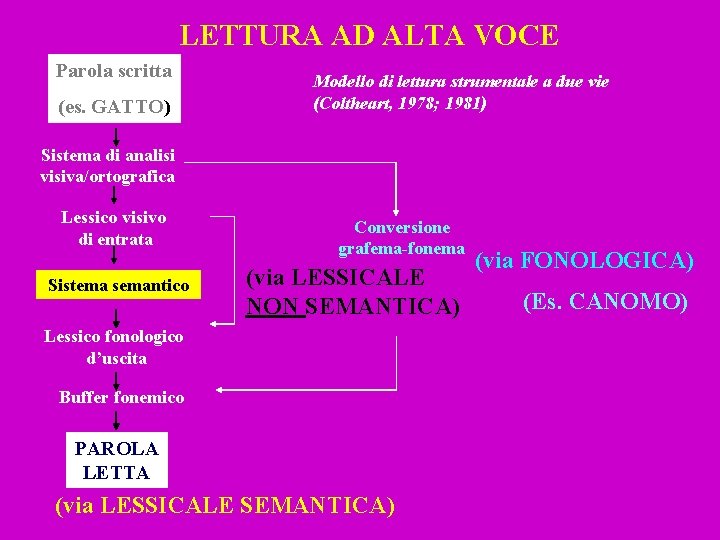 LETTURA AD ALTA VOCE Parola scritta (es. GATTO) Modello di lettura strumentale a due