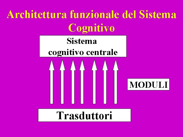 Architettura funzionale del Sistema Cognitivo Sistema cognitivo centrale MODULI Trasduttori 